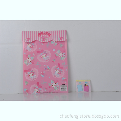 2 pockets pp folder